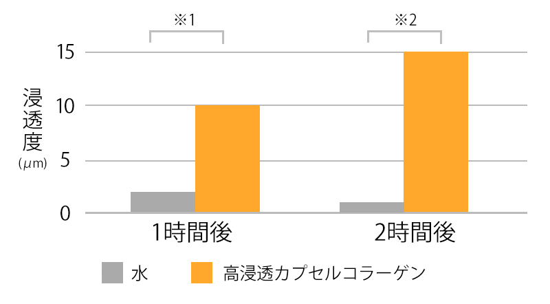 一般的なコラーゲンとナノレベルのコラーゲン